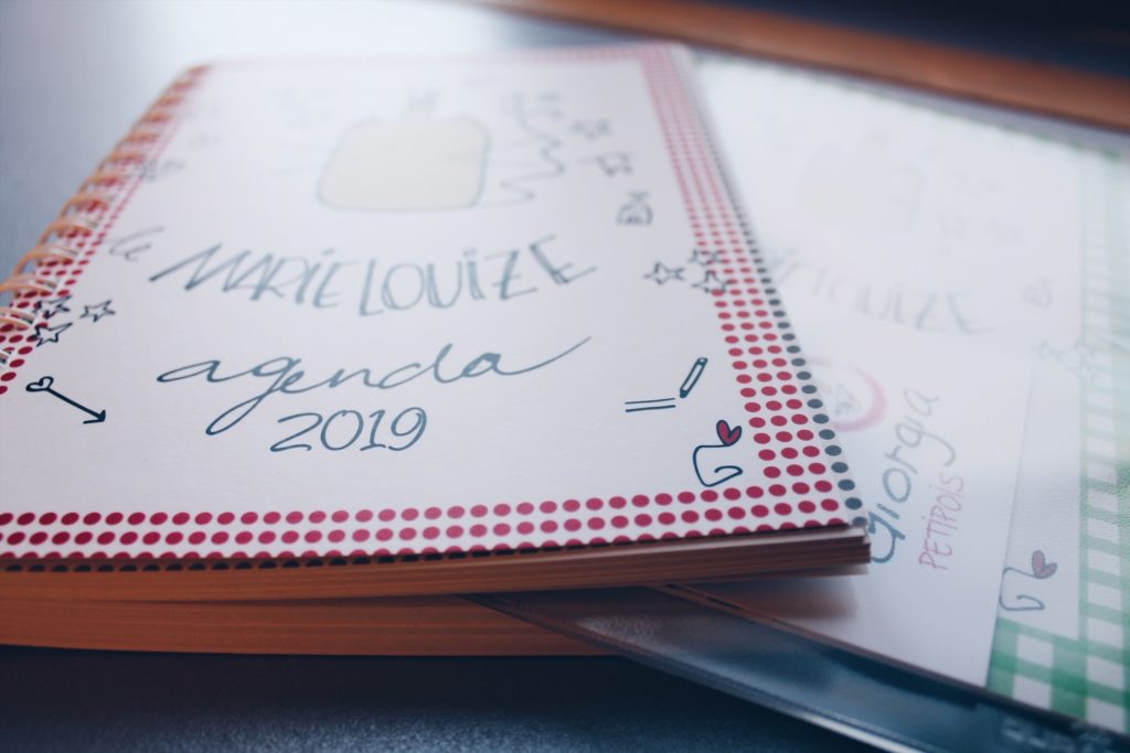 L'agenda 2019 des amoureux des chats, c'est le Marielouize Agenda ! Avec un carnet de recettes de Lau à la menthe, le blog food belge bio !